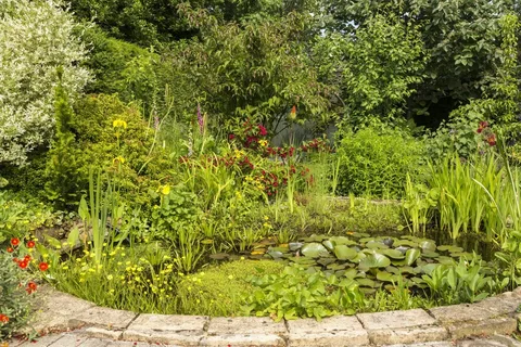 Keep Your Pond Clear, Balanced, and Thriving